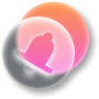 Application  mobile